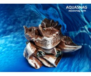Два кораблика  на камне,  дл 19.5см, шир 14см, выс 13.5см, коричнеывые