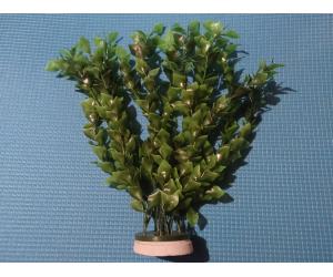 Растение искусственное, серия "Sunny" M-015С,  60см,