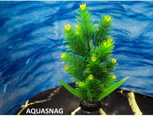 Фото Рослина серії "Sunny" AP -065C, 20см aquasnag.com