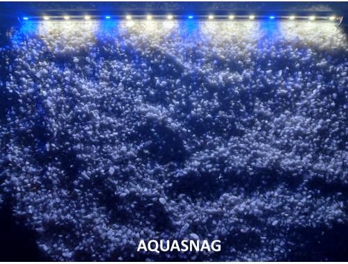 Фото Подводная светодиодная лампа 48.5см, голубая с белым, 50 LED Смотреть