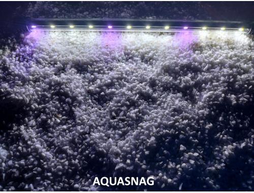 Фото Подводная светодиодная  лампа 38.5см, розовая с белым, 40 LED, Купить
