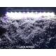 Фото Подводная светодиодная  лампа 38.5см, розовая с белым, 40 LED, Купить