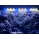 Фото Подводная светодиодная  лампа 38.5см, голубая с белым, 40 LED Смотреть