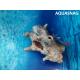 Фото Бревно полое, дл 15,5см, шир 12см, выс 10см, есть повреждения Смотреть