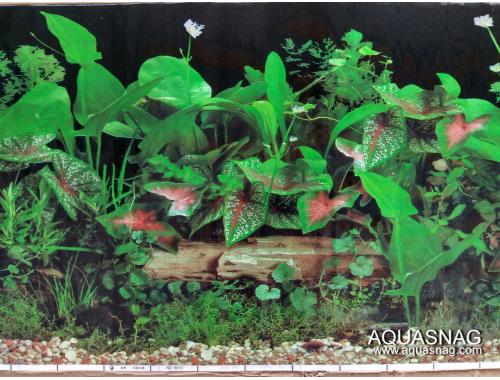 Фото Фон для аквариума односторонний высотой 40см(9013черн), цена за 10см aquasnag.com