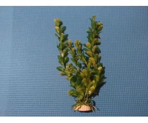 Искусственное растение 40см, серия "Sunny" AP- 022E