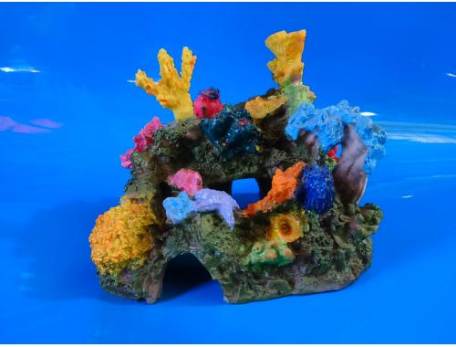 Фото Полый риф с кораллами aquasnag.com