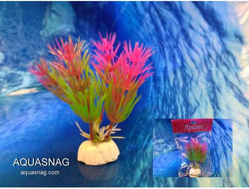 Фото Растение Aplant - 10см, Е 1 aquasnag.com