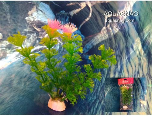 Фото Растение Aplant - 10см, Е 9 Смотреть